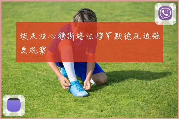 埃及核心穆斯塔法穆罕默德压迫强度观察