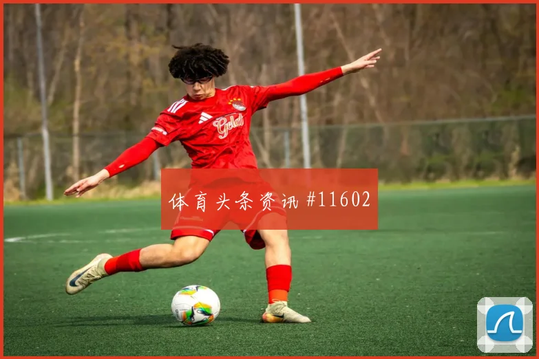 新西兰队加贝特对阵比利时破门机会是否被放大对位观察
