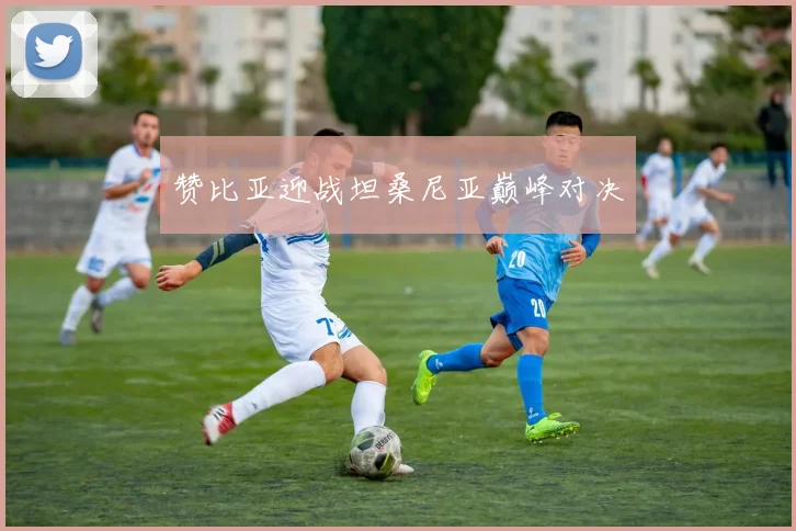 赞比亚迎战坦桑尼亚巅峰对决