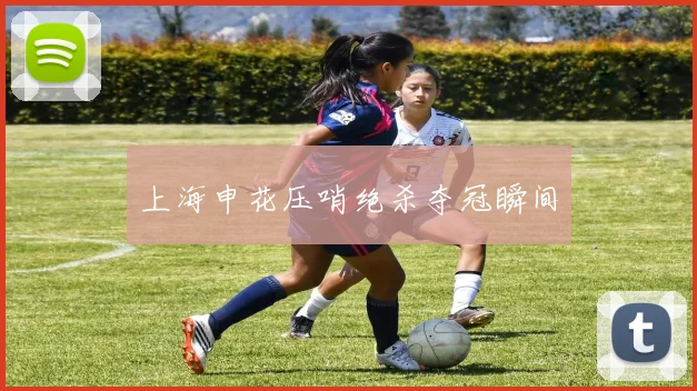 上海申花压哨绝杀夺冠瞬间