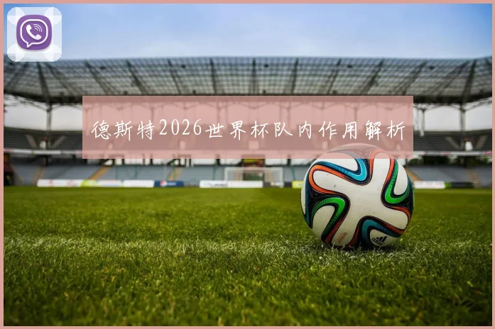 德斯特2026世界杯队内作用解析