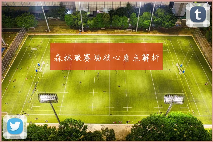 森林狼赛场核心看点解析