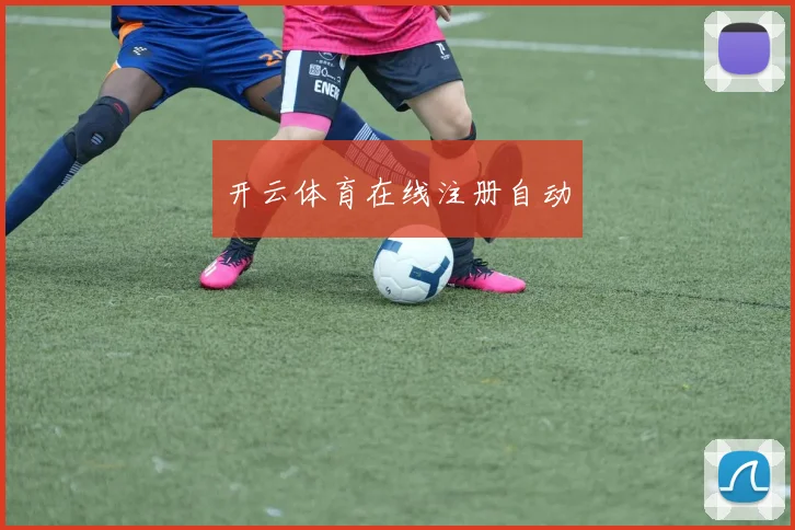 开云体育在线注册自动