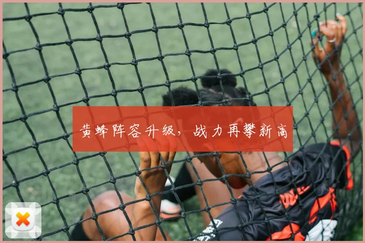 黄蜂阵容升级，战力再攀新高