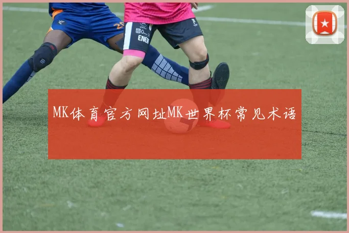 MK体育官方网址MK世界杯常见术语