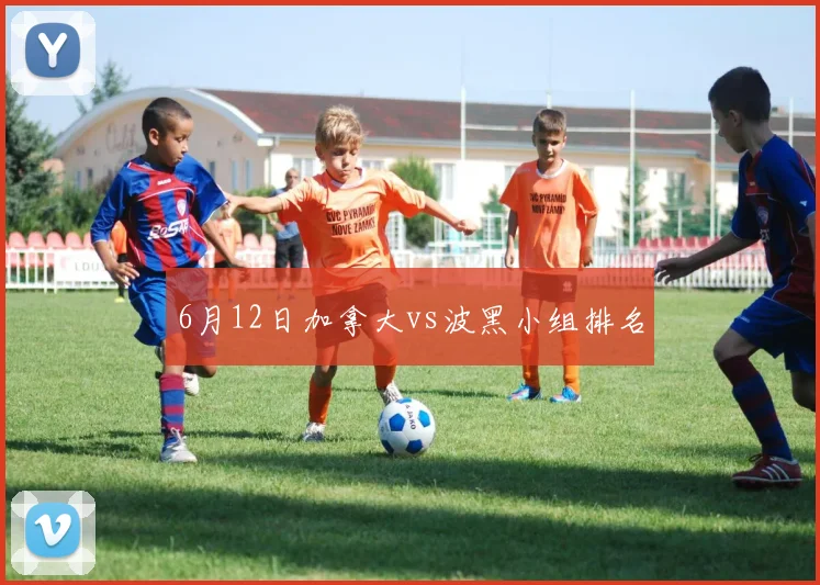 6月12日加拿大vs波黑小组排名