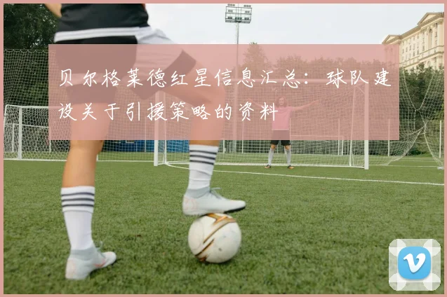 贝尔格莱德红星信息汇总：球队建设关于引援策略的资料