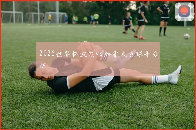 2026世界杯波黑vs加拿大点球手分析