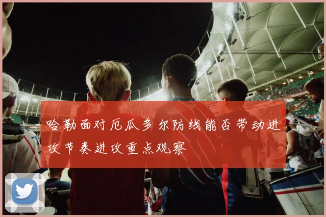 哈勒面对厄瓜多尔防线能否带动进攻节奏进攻重点观察
