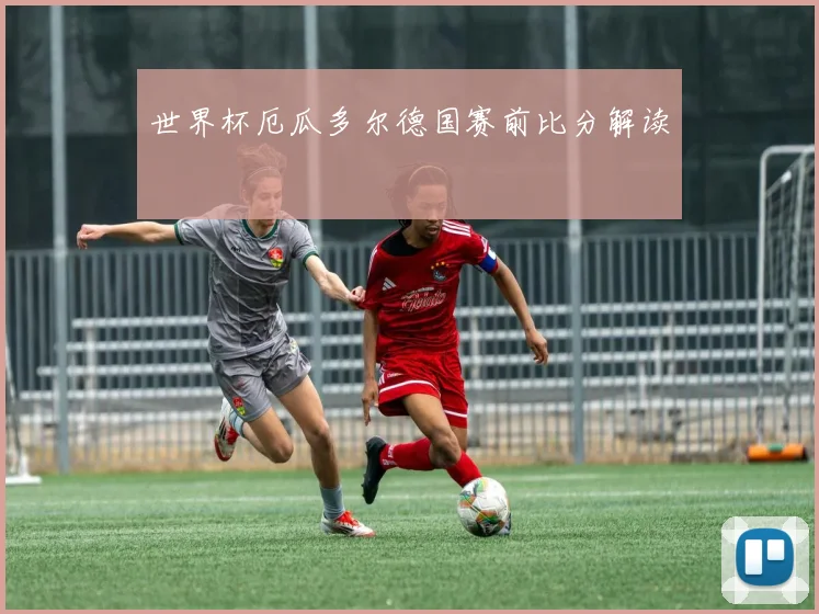 世界杯厄瓜多尔德国赛前比分解读